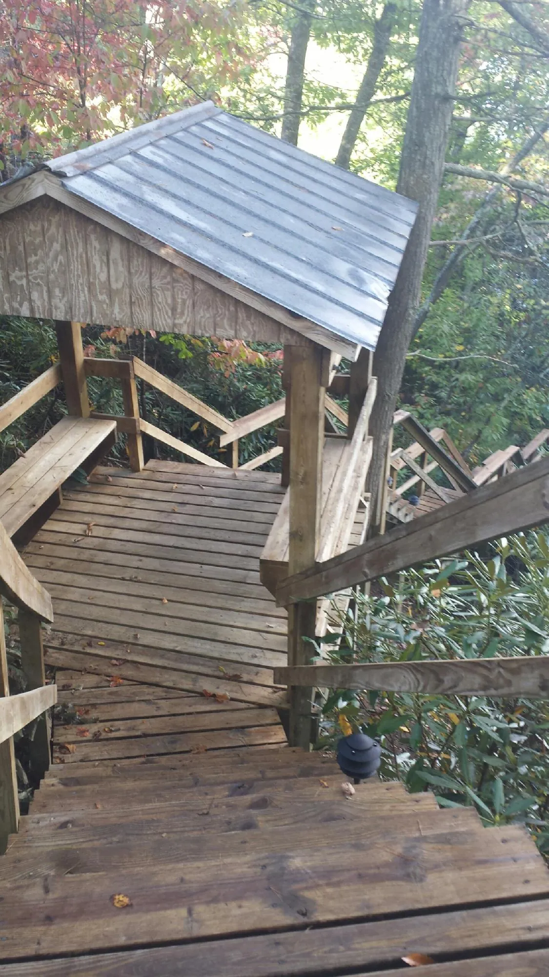 Metal roofed shelter over wooden steps on a wooded walkway — Skylight Repair & Installation work by our crew in Puyallup