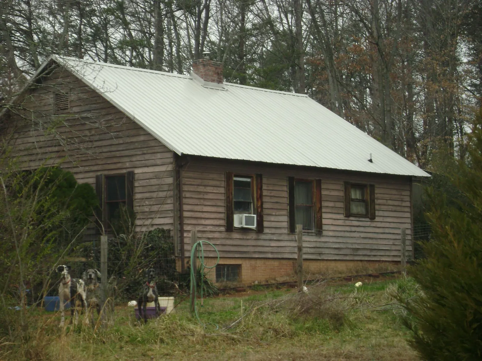 White metal roof on an old wood sided farmhouse, from a Metal Roof Installation job in Puyallup